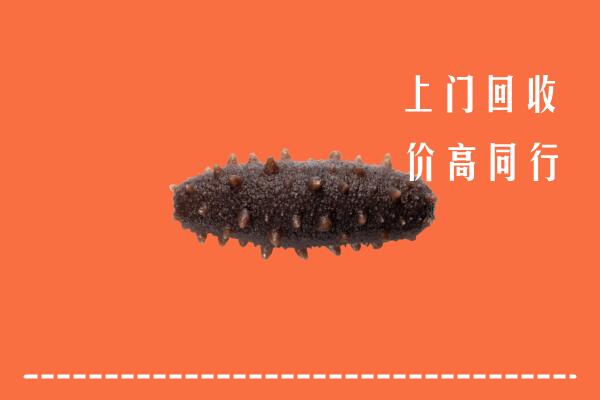 渭南回收海参