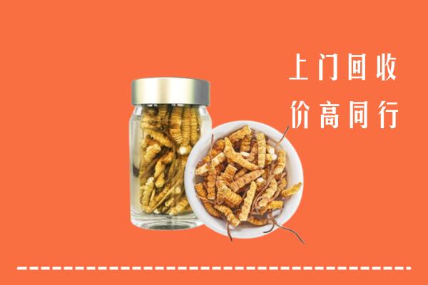 渭南回收冬虫夏草